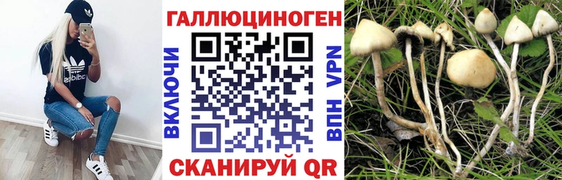 Галлюциногенные грибы прущие грибы  купить закладку  blacksprut сайт  Александровское 