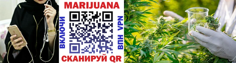 Каннабис OG Kush Александровское